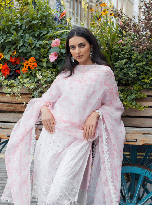 Barnet Kurta With Barnet Pants With Dupatta